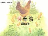 14.母鸡    生字课件（笔顺动漫）