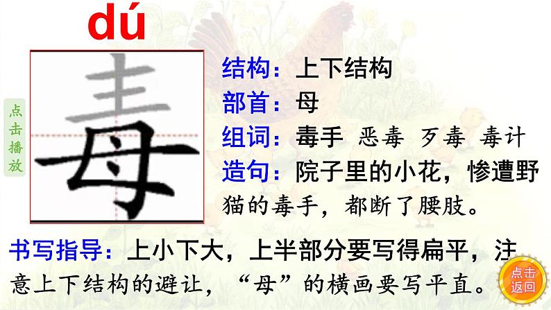 14.母鸡    生字课件（笔顺动漫）07