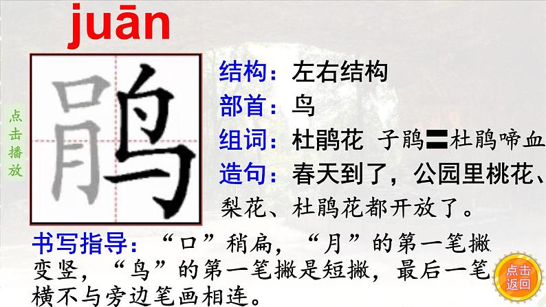 17.记金华的双龙洞    生字课件（笔顺动漫)05