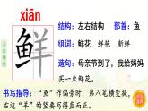 3.开满鲜花的小路  生字课件（笔画动漫）