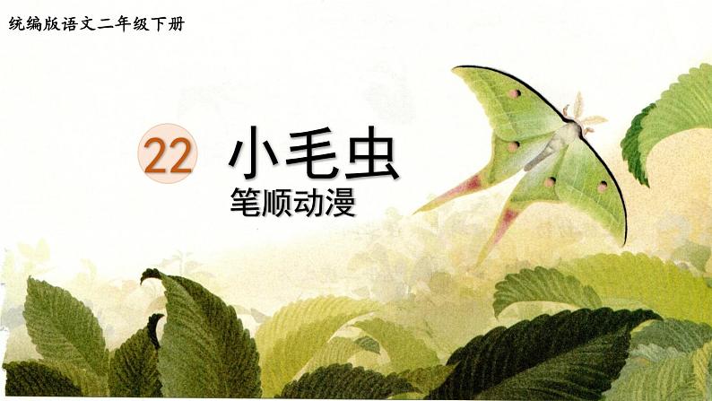 22.小毛虫  生字课件（笔画动漫）01