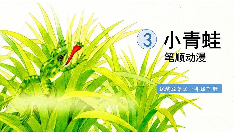 3.小青蛙  生字课件（笔顺动漫）01