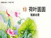 13.荷叶圆圆  生字课件（笔顺动漫）