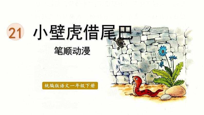 21.小壁虎借尾巴  生字课件（笔顺动漫）01