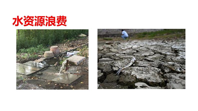 统编版语文六上习作六：学写倡议书 课件 习作素材04