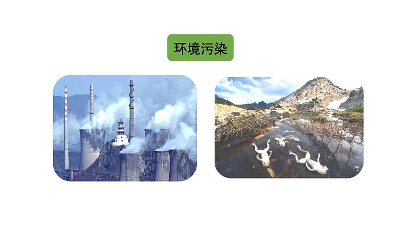 统编版语文六上习作六：学写倡议书 课件 习作素材07