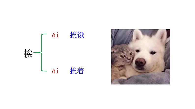 六上语文27.我的伯父鲁迅先生课件第8页