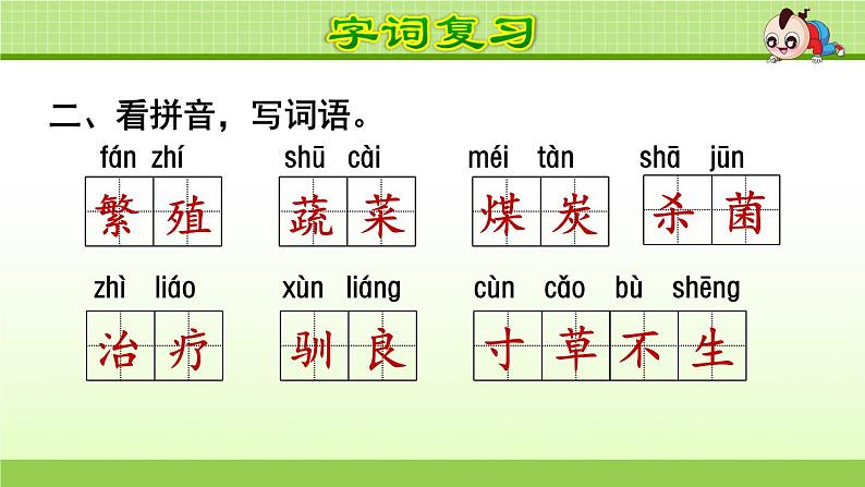 部编版 五年级上册语文 第5单元复习课件第3页