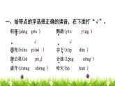 部编版 三年级上册语文 第5单元复习课件