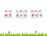 部编版 三年级上册语文 第5单元复习课件