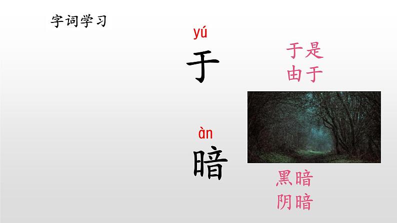 部编小学语文二上 第七单元 20   雾在哪里  第一课时课件PPT第7页