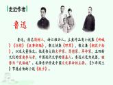 统编版语文六年级上册25.少年闰土（课件）