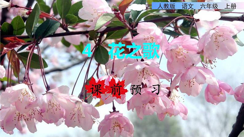 统编版语文六年级上册4.花之歌  （课件）第1页