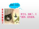 部编版语文二年级上册13寒号鸟教学课件