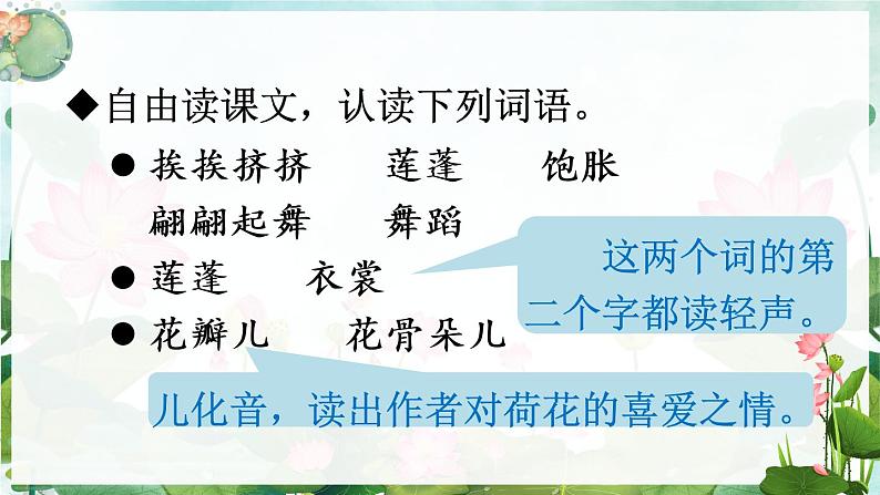 1.3《荷花》授课课件+教案07