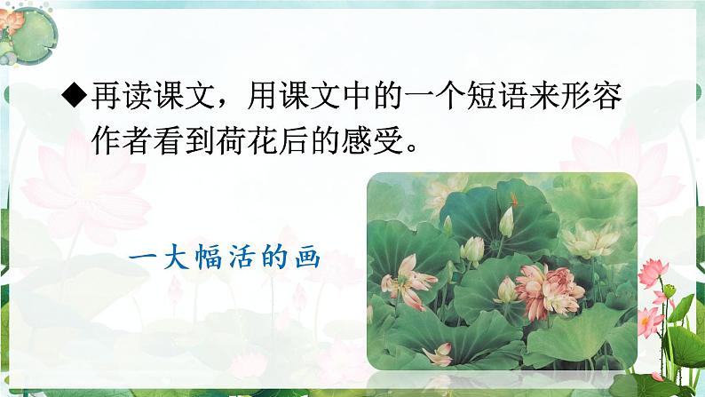 1.3《荷花》授课课件+教案08