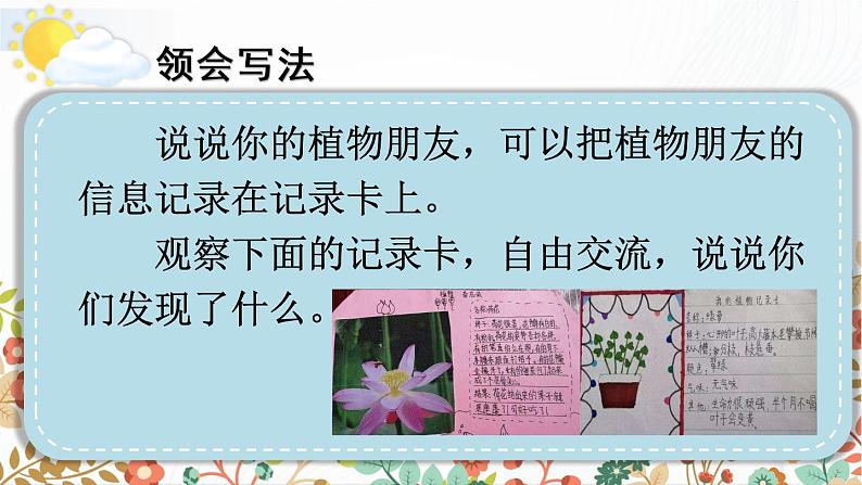 习作：我的植物朋友  授课课件+教案06