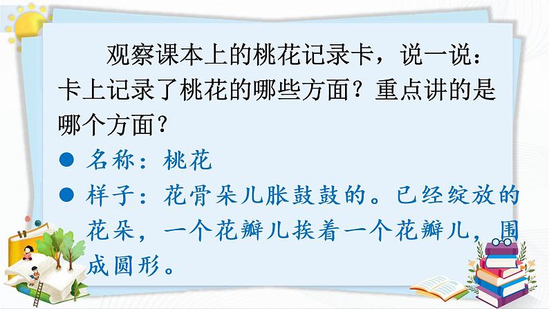 习作：我的植物朋友  授课课件+教案08