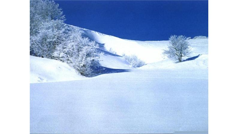 部编版一年级语文上册12雪地里的小画家  优  质课件PPT第7页