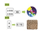 六年级上册语文课件-第3单元 10《宇宙生命之谜》课时1 人教部编版 (共17张PPT)