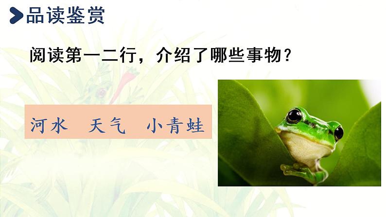 3.小青蛙第2课时第3页