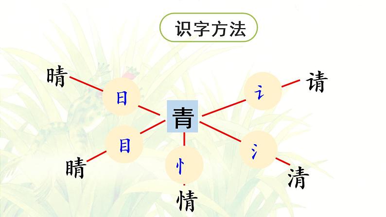 3.小青蛙第1课时第5页