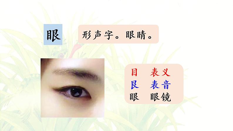 3.小青蛙第1课时第6页