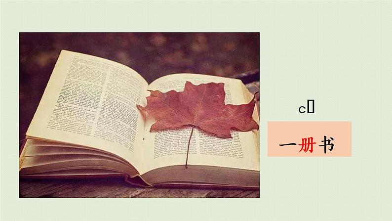 统编版一年级语文下册 第2单元 语文园地二 课件05