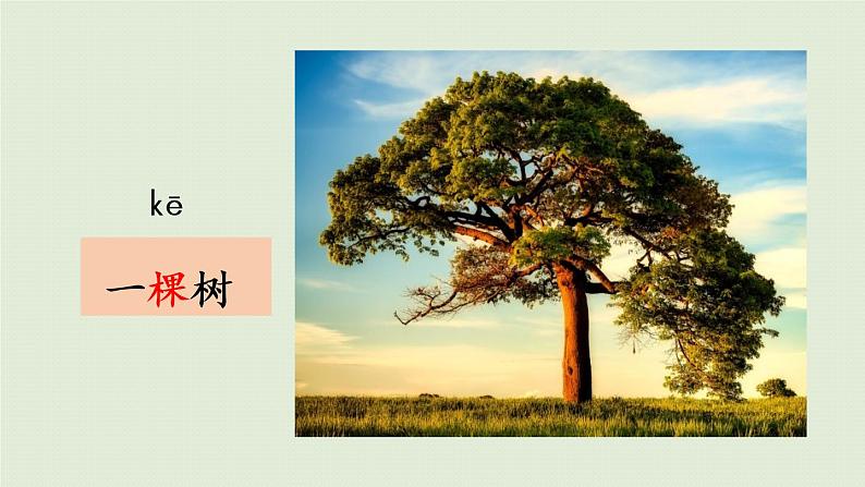 统编版一年级语文下册 第2单元 语文园地二 课件07