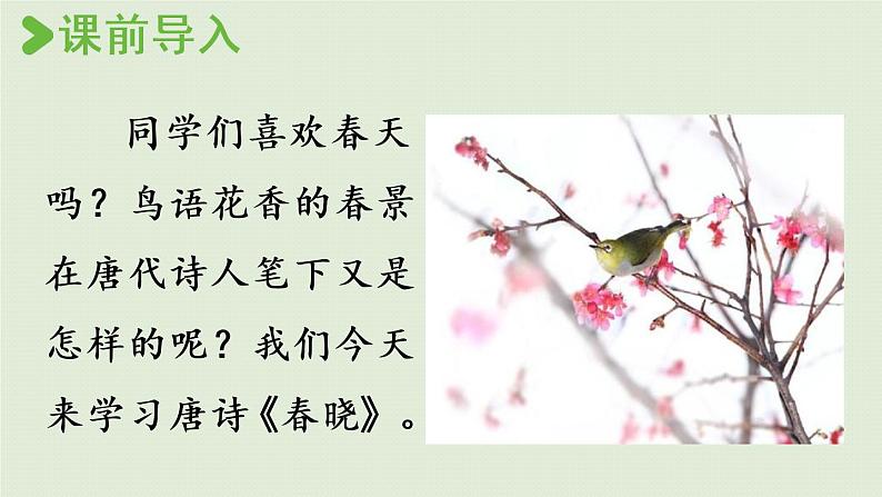 统编版一年级语文下册 第2单元 语文园地二 课件02