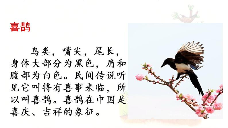 统编版一年级语文下册 第3单元 6.树和喜鹊 课件04