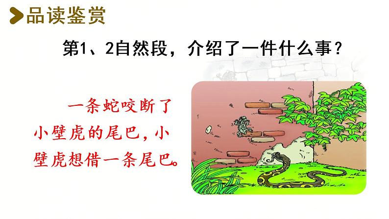 21.小壁虎借尾巴第2课时第3页