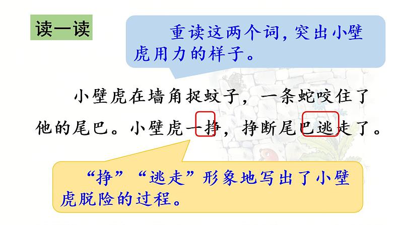 21.小壁虎借尾巴第2课时第4页