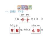 部编版语文四年级上册第一单元2.走月亮习题课件