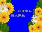 部编版语文四年级上册第一单元4.繁星习题课件