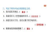 部编版语文四年级上册第一单元4.繁星习题课件