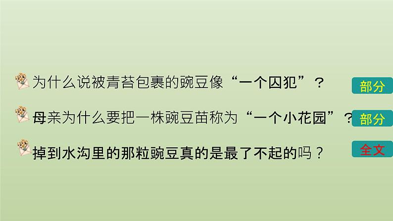 部编版语文四年级上册第二单元 《一个豆荚里的五粒豆》 课件（13张ppt）04