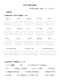 统编版六年级语文下册期中检测卷（无答案）