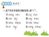 部编版 语文二年级上册 复习课件 ：5 玲玲的画