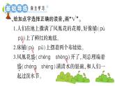 部编版 语文二年级上册 复习课件 ：17 难忘的泼水节