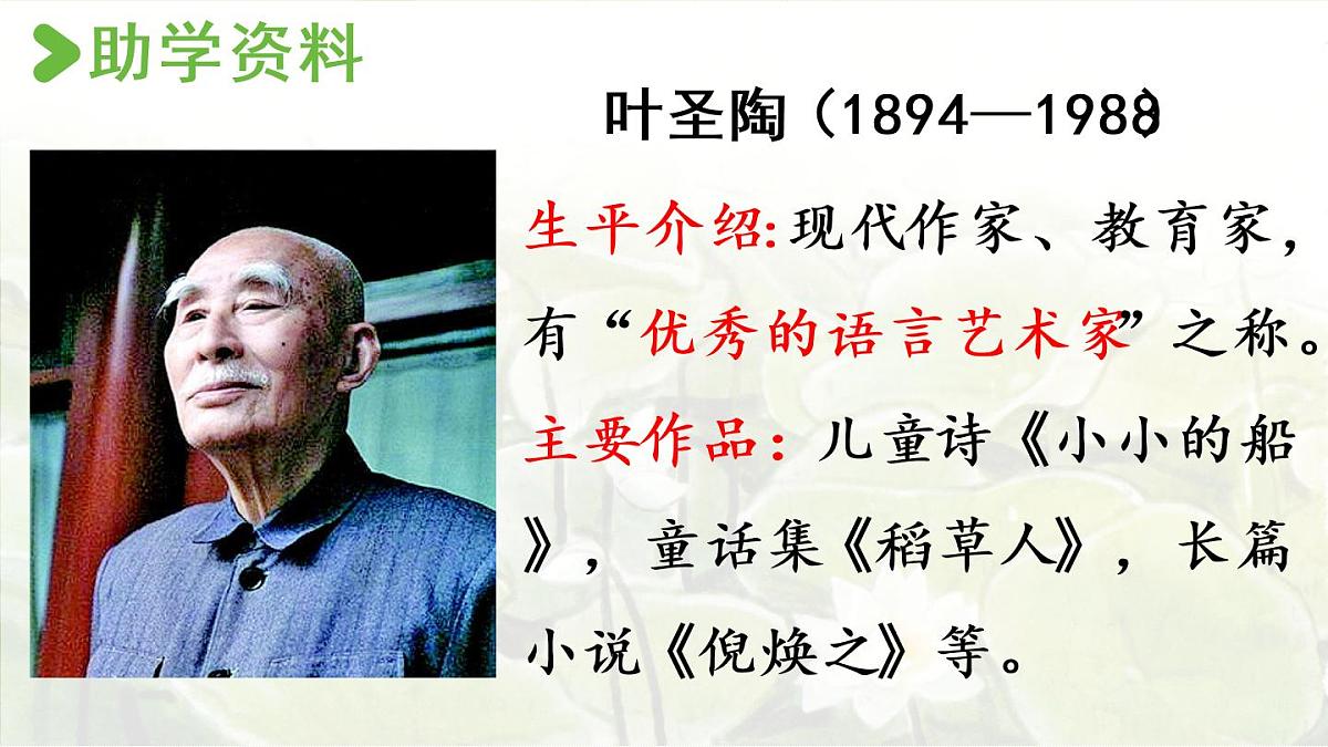 3.荷花第一课时第6页