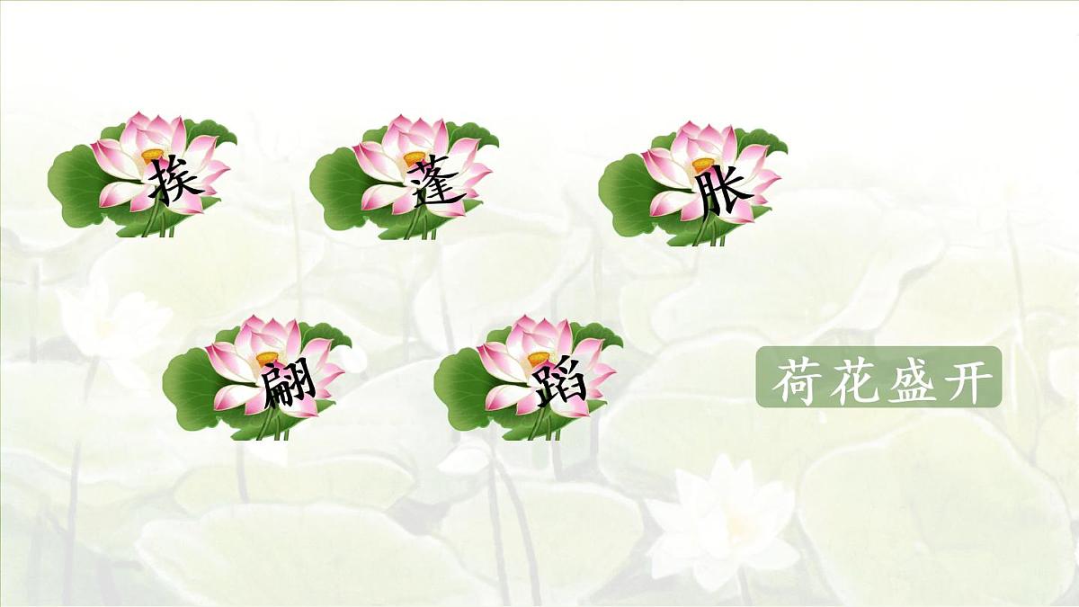 3.荷花第一课时第8页