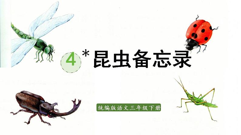 统编版三年级语文下册 第一单元 4.昆虫备忘录 课件01