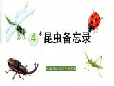 统编版三年级语文下册 第一单元 4.昆虫备忘录 课件
