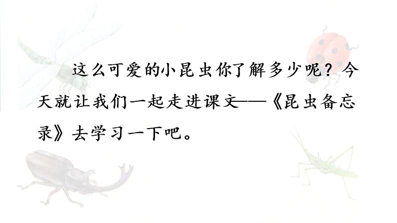 统编版三年级语文下册 第一单元 4.昆虫备忘录 课件06
