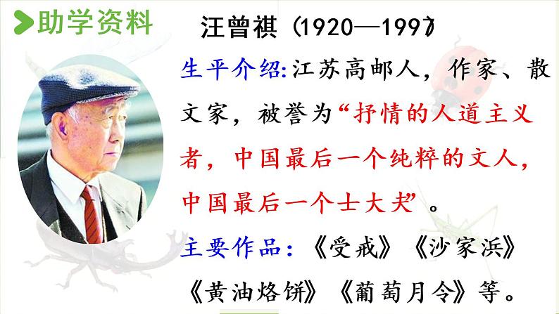 统编版三年级语文下册 第一单元 4.昆虫备忘录 课件07