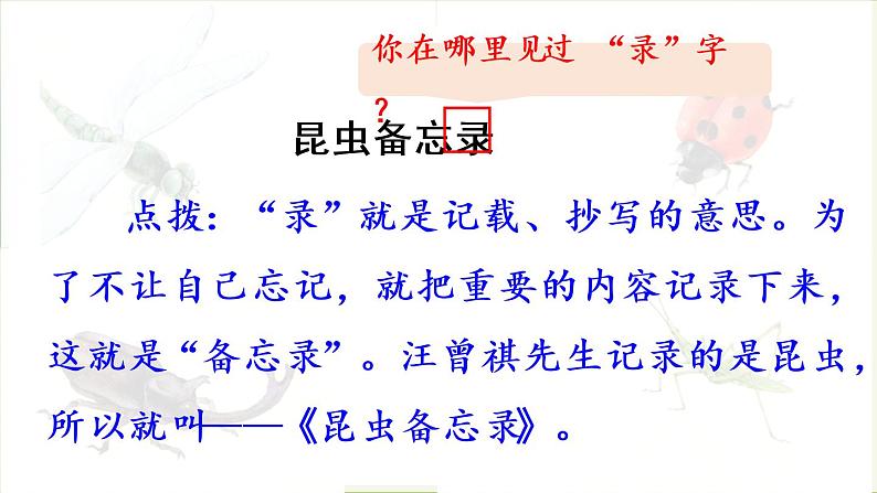 统编版三年级语文下册 第一单元 4.昆虫备忘录 课件08