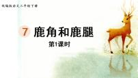 人教部编版三年级下册第二单元7 鹿角和鹿腿课前预习课件ppt