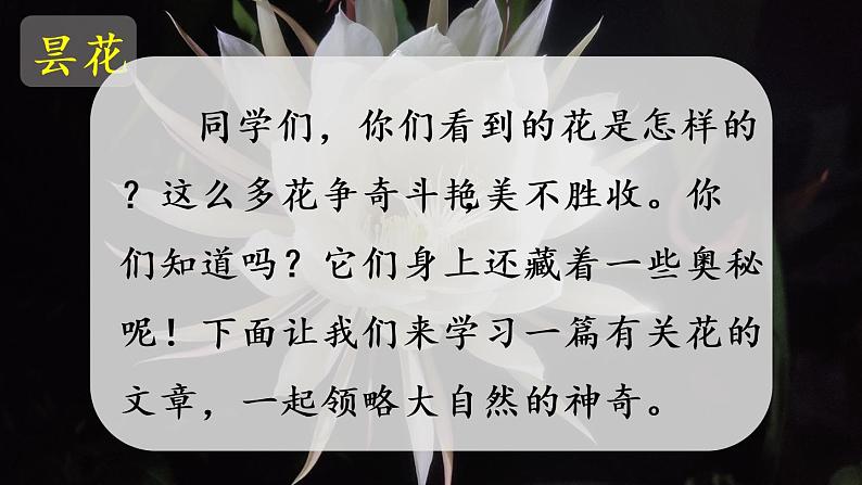 13.《花钟》第1课时第2页