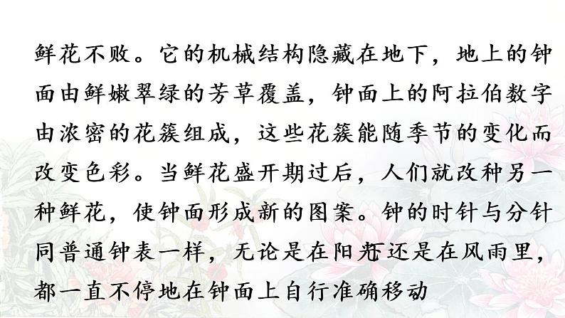 13.《花钟》第1课时第4页